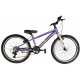 Energy: Enigma Lady 24''